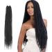 FDEETY 24 Inch Passion Twist Hair Water Wave Crochet Braids for Passion Twist Hair Synthetic Crochet Braiding Hair Long Bohemian Braids Hair Extensions (Black) - Buy Online on GoSupps.com
