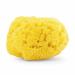 Chicco 100% Natural Sea Sponge for Babies - 0 Months - Buy Online on GoSupps.com