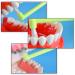 4-Pack Medium Hand Toothbrushes - Compact Interdental Brushes for Detailed Cleaning - International Shipping Available - Buy Online on GoSupps.com