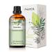 PHATOIL Jasmine Essential Oil 30ML Premium Grade Pure Essential Oils for Diffusers for Home Perfect for Aromatherapy Diffuser Humidifier Candle Making Jasmine 30 ml (Pack of 1)