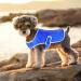 Cool Vest for Dogs - Breathable Summer Shirt for Small Medium & Large Dogs | Perfect for Outdoor Activities - Buy Online on GoSupps.com