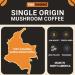 Perfect 7 Mushroom Coffee Made in Ontario CA | Organic Fruiting Body Lion s Mane Reishi Cordyceps Chaga Turkey Tail | Low-Acid Premium Colombian Arabica Instant Medium Roast 50 Servings Perfect 7 50 Servings (  - Buy Online on GoSupps.com