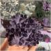 Crystal Natural Crystal Amethyst Clusters of raw Stone specimens for Home Draw yuebang Stone Mineral Specimen (Color : Purple Size : 900-1000g) 900-1000g Purple - Buy Online on GoSupps.com