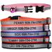 GoTags Personalized Reflective Cat Collars, Engraved Custom Cat Collar with Name and Phone, Breakaway Cat Collar with Safety Release Buckle and Bell, Adjustable for Cats and Kitten Blue