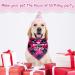 ExceLife Plaid Dog Birthday Bandana Adjustable Plaid Pet Triangle Scarf Bibs for Dog Puppy Birthday Party Supplies Birthday Girl Pink Red - Buy Online on GoSupps.com