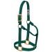 WEAVER Leather Non-adjustable Halter Hunter Green Large Horse