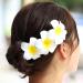 Jeweky Flowers Hair Clips Hawaii Plumeria Hairclip 3pcs Beach Flower Hair Accessory for Women and Girls