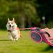 Edipets Pink Retractable Dog Leash - Extendable 3 5 & 8 Meters | Flexible Durable Perfect for Walking - Buy Online on GoSupps.com