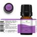 Buy Plant Therapy Lavender Fine Essential Oil 5 mL | 100% Pure Undiluted Therapeutic Grade - International Shipping Available - Buy Online on GoSupps.com