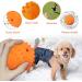 Buy Laroo Durable Natural Rubber Dog Ball - Squeaker Toy for Small & Large Dogs - 6.5cm Orange - Buy Online on GoSupps.com
