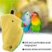 Buy Parrot Standing Perch & Hanging Triangle Hammock - Plush Bird Cage Tent Toys for Parrots Nymphensittich and Conures - Buy Online on GoSupps.com