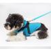 Shop Waterproof Dog Rain Coat - Adjustable & Reflective Rain Jacket for Puppies & Dogs (Sizes S Green & Blue) - Buy Online on GoSupps.com