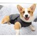 Dog Calming Vest & Anxiety Shirt - Breathable Jacket for Small Medium & Large Dogs (XS) - Buy Online on GoSupps.com