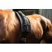 Equinate Conway Lunging Girth with Memory Foam for Thoroughbreds - 17 Side Reins & 2 Snap Hooks - Adjustable Waist Circumference | International Shipping Available - Buy Online on GoSupps.com