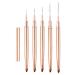 5Pcs Nail Arts Liner Brushes Painting Brush Set Thin Nail Arts Dotting Drawing Pen 4/8/12/20/25mm Suitable For Home Use