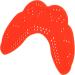 Verdant Touch Sport Mouthguard | Elite Protection for Athletes in Boxing MMA Lacrosse Basketball Football & Hockey Red - Buy Online on GoSupps.com