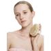 Bath Body Brush with Comfy Bristles | Gentle Massage Nodes for Circulation | Odor-Free Scrubber Brush - Buy Online on GoSupps.com