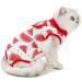 Agoumlux Katzenbody after op castration for cat body for surgery leakage protection catwear recovery clothing cotton red m m red red