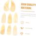 POPETPOP 8pcs Guzheng nails acoustic guitar pick ox horn pick Guzheng Nail Covers mandolin picks Guzheng Finger Picks ukulele pick Fingertip Covers finger guard horns trumpet child 2.7X1.2X0.1CM Yellow - Buy Online on GoSupps.com