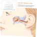 Buy Hemoton 20 Sets Ear Pick Tool - Ear Wax Removal Kit for Kids & Adults | Effective Ear Cleaning Tools - Buy Online on GoSupps.com