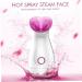 Healeved 2pcs Facial Care Steamer Handy Mist Face Steamer Sprayer Facial Spa Steamer Facial Steamer - Buy Online on GoSupps.com