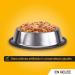 Pedigree Fresh Jelly Sachets for Dogs 12 x 100g - Buy Online on GoSupps.com