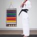 JEWERADO Karate Martial Arts Taekwondo Belt Display Holder Wall Hanging for 8 Belts  Hold 5 Medals Grey - Buy Online on GoSupps.com