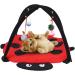 Multifunctional Cat Activity Mat Cat Play Mat with Balls Mouse Hanging Toy Foldable Interactive Play Area Station for Cats Kitten - Buy Online on GoSupps.com