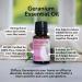 Rocky Mountain Oils Geranium Essential Oil - 100% Pure Aromatherapy Oil for Skin & Hair Care - 15ml - Buy Online on GoSupps.com