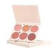 Kcabrtet 6 Colorss Face Blush Palette Matte Shimmers Blush Palette Smooths Blendable Powder Blush Contour Highlighter Blush Multiuse Makeup Palette(Six color powder blusher plate)