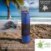 Tortuga by Equator Wellness Market - Blue Turtle Centering Candle for Meditation Yoga & Well-Being | Tropical Ambiance & Vitality Candle - Buy Online on GoSupps.com