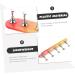 minkissy 2 Sets Nail Practice Holder Nail Art Decoration Nail Decorations for Nail Art Beauty Nail Holders Nail Racks for Nail Painting Nail Stand Accessories Plastic Fixture - Buy Online on GoSupps.com