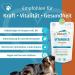Dog Fit by Prethis - Vegan B Vitamin Complex for Dogs | Nerve Strengthening Incontinence & Nervousness Support | Large Animals (25kg+) - Buy Online on GoSupps.com
