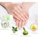 Tea Tree Nail Oil Cuticle 15ml with Vitamin E & B | Jojoba Cuticle Oil for Dry Nails | Moisturizing Nail Care Repair - Buy Online on GoSupps.com