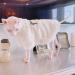 TENGTUD Hairless Cat Clothes Autumn And Winter Thicken Sphynx/Devon Cat White Coat-XL