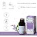Aromafume White Sage & Lavender Essential Oil Diffuser Blend 30ml - Deepens Relaxation, Purification, Grounding & Protection | Salvia Apiana & Lavender Extracts | 3 x 10ml Bottles - Buy Online on GoSupps.com