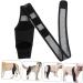 BELLIFFY Dog Injured Knee Dog Care Cat Leg Splint Leg Brace Cat Canine Carpal Hind Leg Pet XL As Shown - Buy Online on GoSupps.com