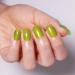 Imtiti Ice Green Gel Nail Polish 15 ml Sheer Jelly Green Translucent Colour UV/LED Soak Off Gel Polish for DIY Nail Art Manicure at Home 1 Piece - Buy Online on GoSupps.com