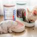 PHABULS Automatic Cat Feeder & Dog Water Dispenser 3.8L - Double Bowl Design - Small & Big Pets - Blue - Buy Online on GoSupps.com