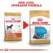 Royal Canin Dog Food Mini Schnauzer Puppy / Junior Complete 1.5KG - Buy Online on GoSupps.com