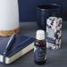 Shop Soap & Paper Factory Vanilla Fleur 1 oz Fragrance Oil - Premium Scent for Candles Diffusers & DIY Projects - International Shipping Available - Buy Online on GoSupps.com