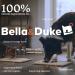 Bella & Duke Venison Dog Snack - Natural Dental Stick Alternative - Grain-free, High Protein, Hypoallergenic Chew for Cleaner Teeth and Plaque Prevention - Buy Online on GoSupps.com