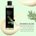 2Pcs New 2026 Organic Rosemary Hair Growth Shampoo Natural Thickening & Strengthening Shampoo With Hydrolyzed Keratin And Natural Extract For Thinning Hair & Hair Loss For Men & Women - Buy Online on GoSupps.com