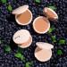 Bite Beauty Changemaker-Flexible Coverage Pressed Powder Tan1 Beige 0.26oz - Buy Online on GoSupps.com