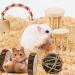ACLUYSKA 21PCS Hamster Guinea Pig Toys | Small Animal Activity Chew Accessories | Apple Wood Ladder Bell Roller | Teeth Care for Dwarf Hamsters, Rats, Chinchillas, Gerbils, Bunnies - Buy Online on GoSupps.com
