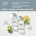 BOTANIST Japanese Organic Shampoo | Sulfate & Silicone Free | Nourishing Scalp & Hair Cleanse for Greasy Scalp | 460 mL - Buy Online on GoSupps.com