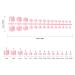 140 Piece Toenail Tips Set - French Full Cover Artificial Nails | DIY Manicure Decoration for Women & Girls - 14 Sizes Available - Buy Online on GoSupps.com