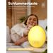 RGB Dynamic Light Alarm Clock - Sunrise Simulation 14 Colors 7 Natural Sounds Dual Alarms & Slumber Function - International Shipping - Buy Online on GoSupps.com