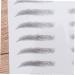 Housoutil 2pcs 3d Eyebrow Stickers Beauty Kit Lady Tools Hair Kit Eyebrow Tool The Lazy 6d Eyebrow Trimming - Buy Online on GoSupps.com