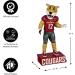 Buy Evergreen NCAA Washington State Cougar Tiki Totem - Unique Home Decor for Fans - Fast International Shipping - Buy Online on GoSupps.com